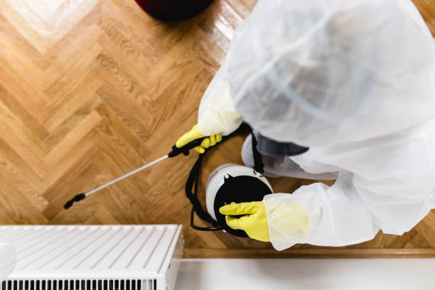 3.5-zimmer-wohnung reinigen preis schweiz