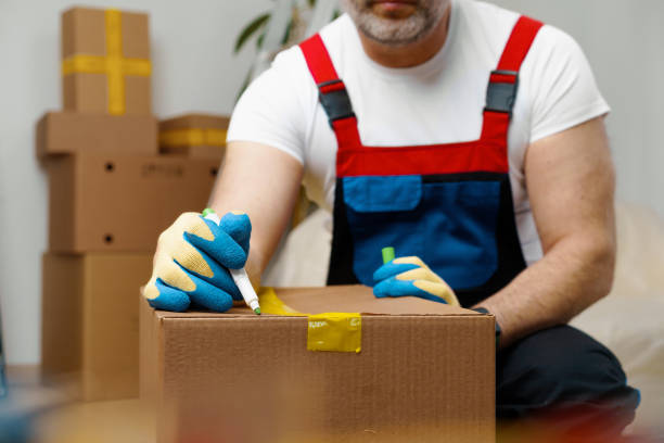 Endreinigung Wohnung Kosten Schweiz