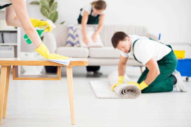 DIY vs. professionelle Teppichreinigung